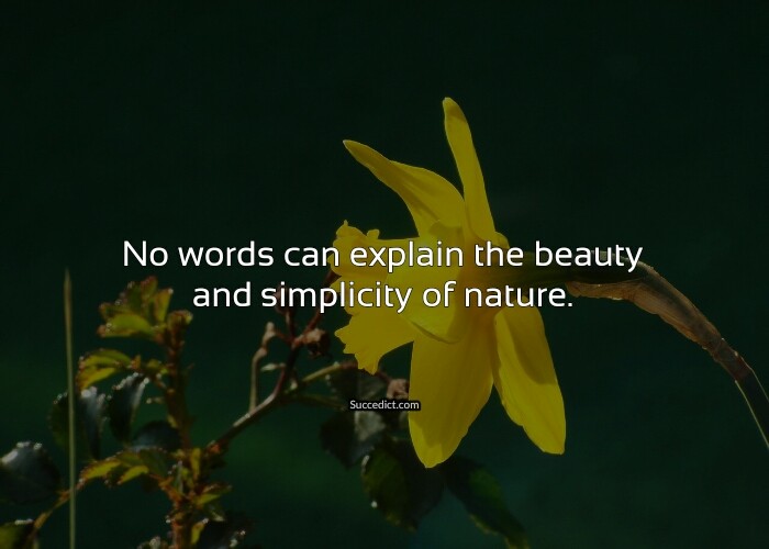 beauty of nature quotes