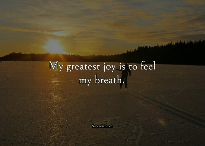 Beautiful Quotes On Joy Of Life - Succedict