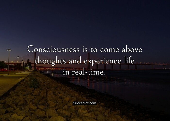 quotes on consciousness