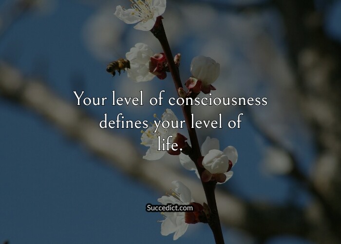 quotes on consciousness