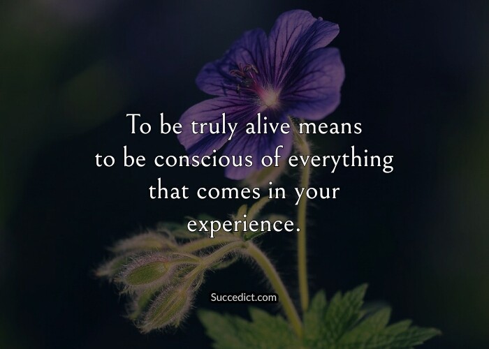 quotes on consciousness