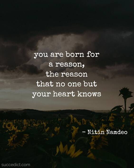 following your heart quotes