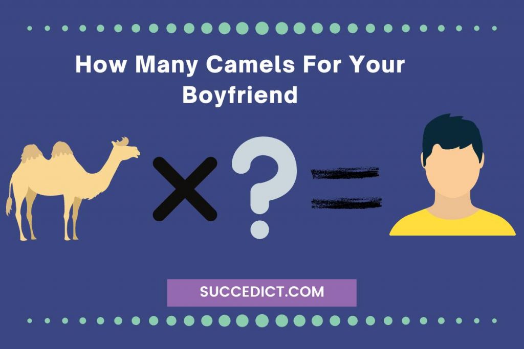 how many camels for your boyfriend