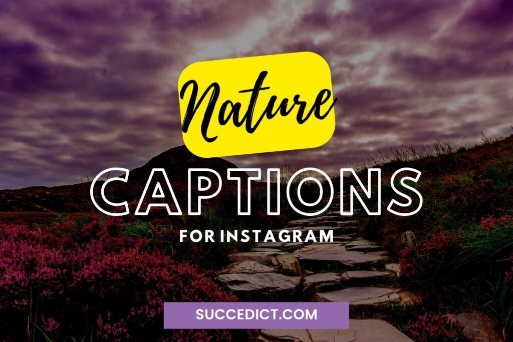 one word nature captions for instagram