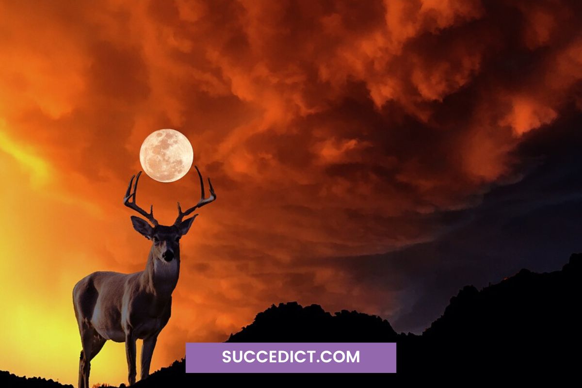 Buck Moon Spiritual Meaning Embracing Strength and Transformation