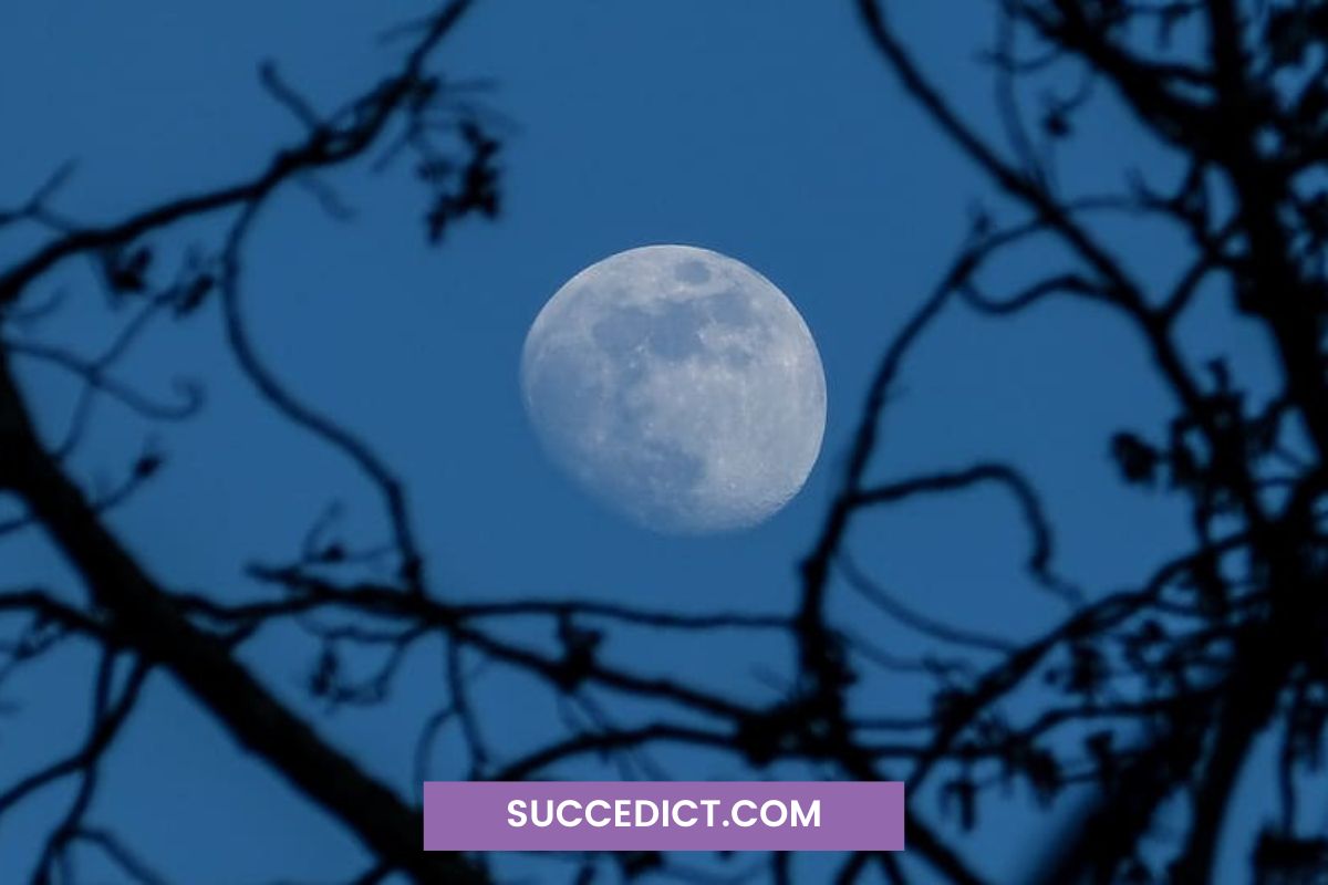 Waxing Gibbous Moon Spiritual Meaning Harnessing Growth and